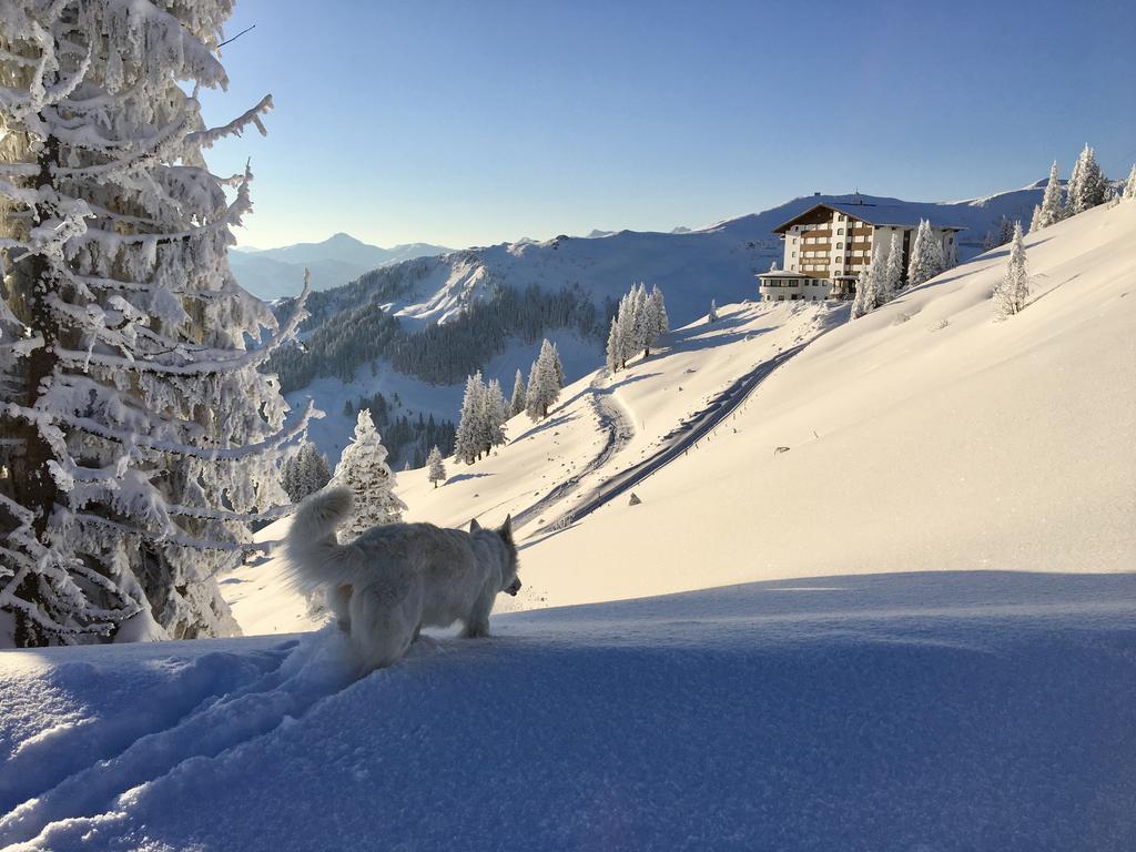 Ehrenbachhohe On Top Of The Mountain Kitzbuhel Exterior photo